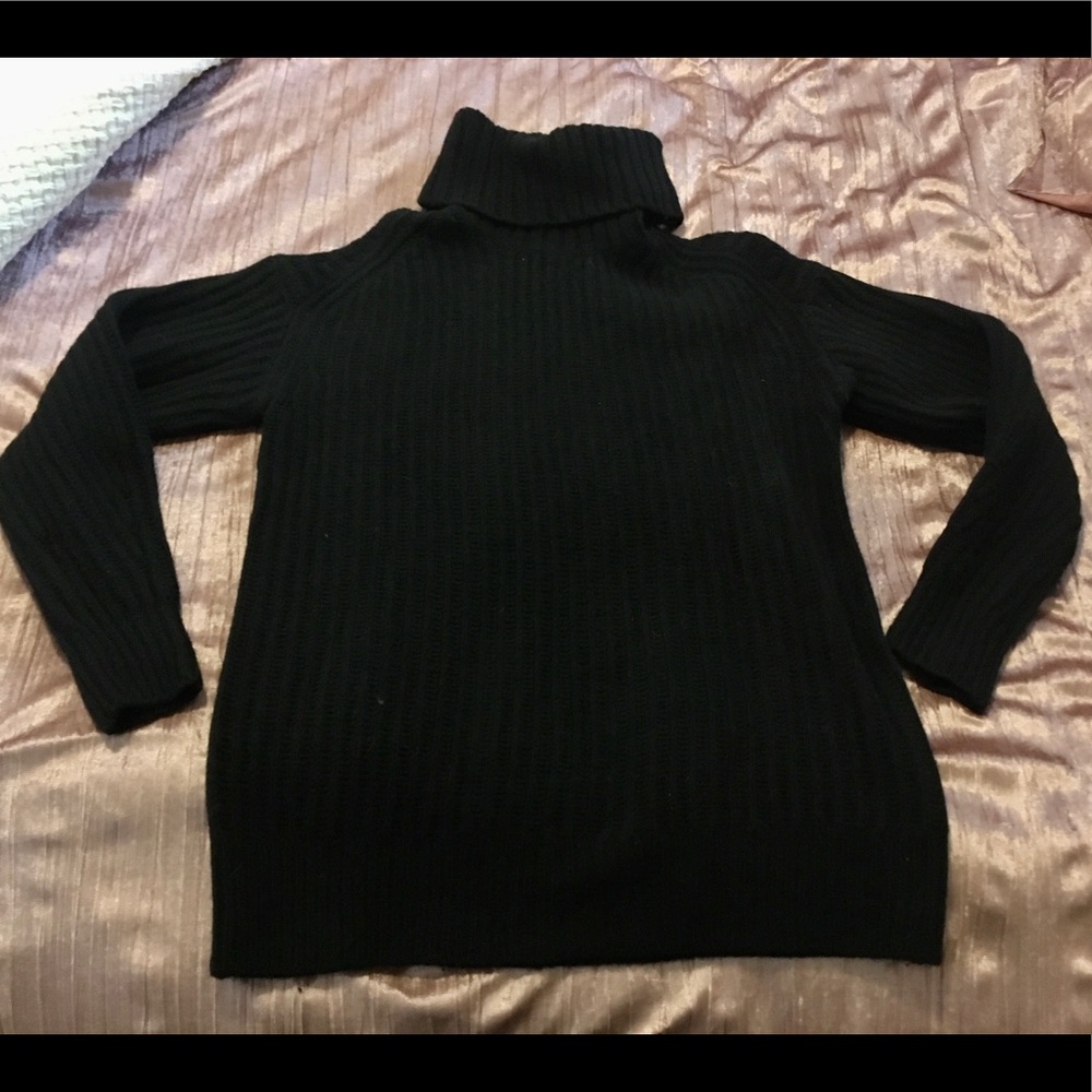 Everlane Turtleneck Sweater